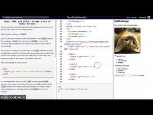 Learn Basic HTML and HTML5: Create a Set of Radio Buttons | freeCodeCamp.org 22