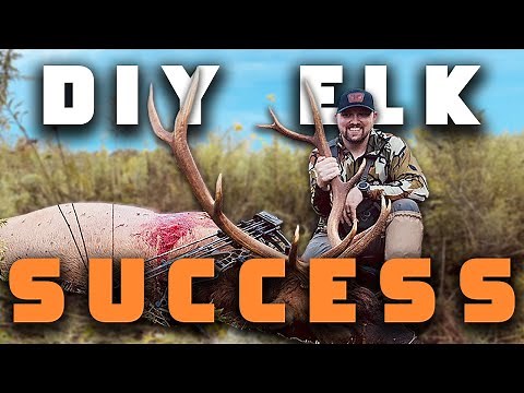 Kentucky Public Land Bull Elk Success: Jeremy's First Elk | Hunt Companion