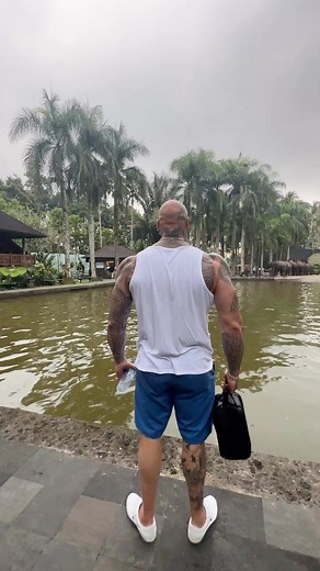 936 reactions · 15 comments | Anyone else fancy swimming with the elephants ….  sounded romantic at first, then I realised this water was brown for a reason  …. BUT would you still do it ???? #bali #elephants #swimming | Martyn Ford | Facebook