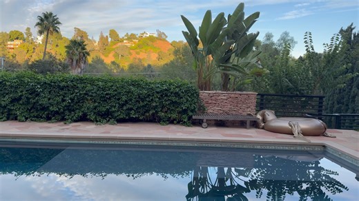 Laurel Walk Through 1