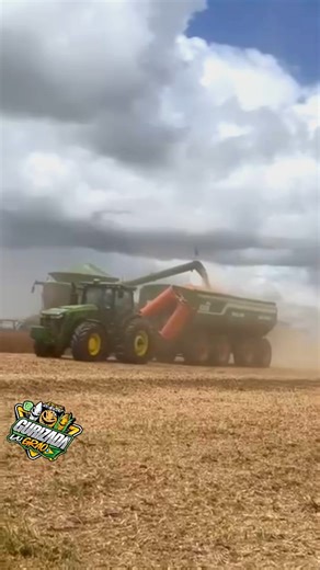 GURIZADA DO GRÃO OFICIAL on Instagram: "Pressão Na Colheita 💪 #gurizadadograo #agro #agriculture #colheita2026 #johndeere"