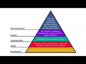Maslow Hierarchy of Needs/ Basic Human Needs/ Theory of Human Motivation | Nursing Online Lectures