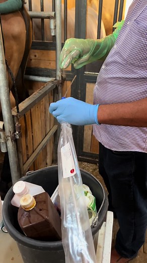 Nadeem Ashour على TikTok