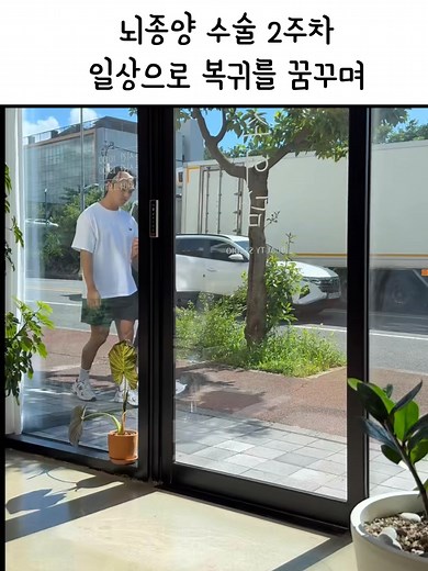 브로콜리의 회복 여정과 희망의 메시지