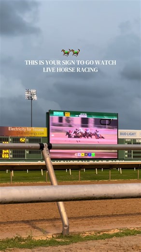 Ostrich Race: The Fun Highlight of Horse Racing in Houston