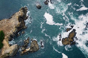 Chardonnay - Peay Vineyards