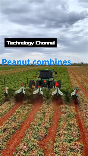 Hands-free peanut combine harvester#science #agriculture #machine