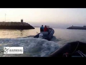 Neumaticas ,semirrigidas y lanchas NARWHAL
