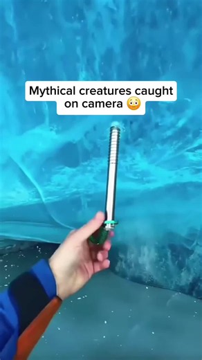 Mythical creatures caught on camera 😳 . . . . . weird deaths, bizarre deaths, dark facts, true stories, shocking facts, weird facts, mystery, scary stories, weird deaths, strange deaths, bizarre deaths, true stories, crazy facts, dark facts, shocking facts, unexplained deaths, unusual deaths, weird facts, scary stories, disturbing facts, mystery facts, unbelievable stories, facts you didn’t know animals Animals That You're Glad Are Extinct dark Animals animals That Mythical creatures caught on 