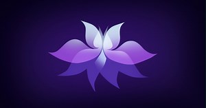 HOME-ABOUT US --- VIDEO