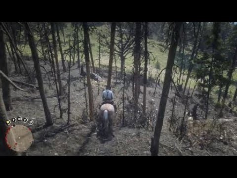 RDR2 Volatile Fire Bottle Pamphlet Location | พิกัดแผ่นตำราระเบิดไฟแบบกระจาย