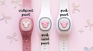 Pearl Magic Band   Decal (for the Newest Size Sold on Website and on Property) - Select Color - Etsy