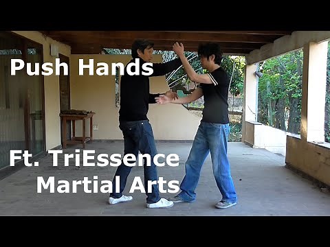 The Proper Way To Do Tai Chi Push Hands ft. TriEssence Martial Arts