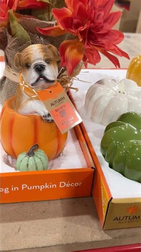 OLLIE’S BARGAIN OUTLET FALL DECOR 2026 #fall