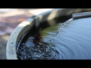 CUSTOM BUILT LIQUID FERTILIZER INJECTOR! Simple Homemade DIY