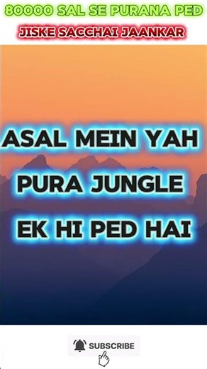 80,000 सालों से पुराना पेड़ #shortsfeed #shortvideo #shorts