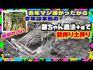 Kin-chan Farming: How to Create Greedily Fertile Soil with Soil Preparation, Bed Making, and Doub...