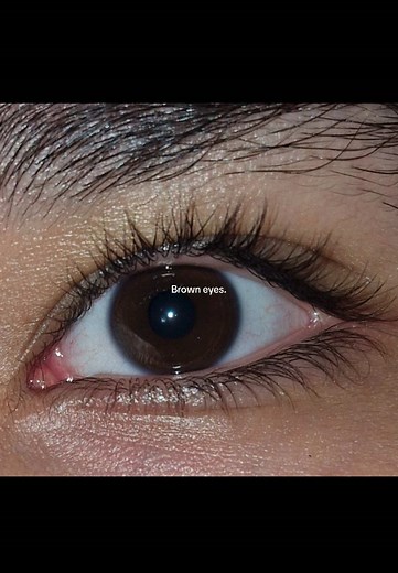 Celebrating the Beauty of Brown Eyes