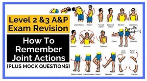 How To Remember Joint Actions for Level 2 and Level 3 Anatomy Exam