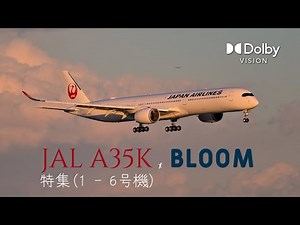 JAL A350-1000特集：羽田で捉えた最新鋭機の美しさ Special Feature: JAL A350-1000 Aircraft at Haneda w/ BGM: Bloom