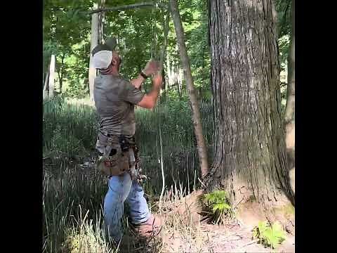 How to SRT climb for saddle hunters.