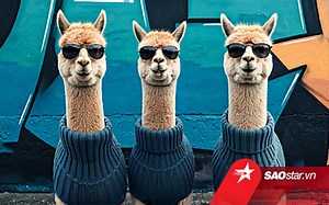 Google trình làng AI tạo video - Saostar.vn