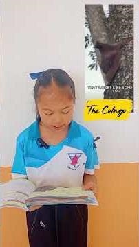 Grade 5 Reading Activity