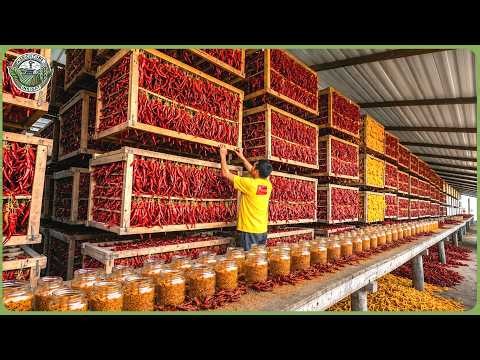 Inside China’s Massive Spice Industry – 21.7 Million Tons Harvested & Processed Every Year