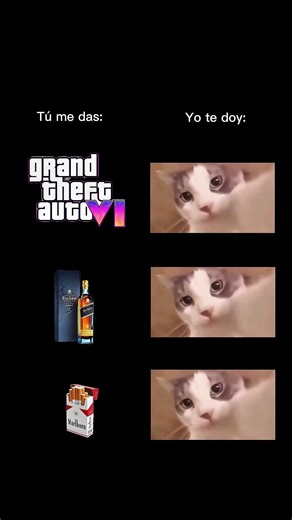Una buena combinación #rockstargames #humor #memes #gta6 #comedia