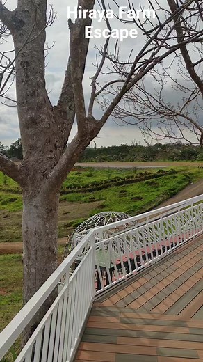 🎥Walking Tour: Hiraya Farm Escape | One of the newest Tourist destinations in the Municipality of Claveria, Misamis Oriental🌳❤️⛰️ #HirayaFarmEscape #HirayaFarmSubdivision #Claveria #MisamisOriental #NorthernMindanao #Jan2024 | TRip ni ToniO