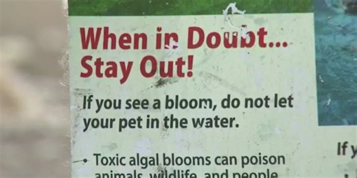 Advisory issued for Round Lake in Camas due to harmful algae