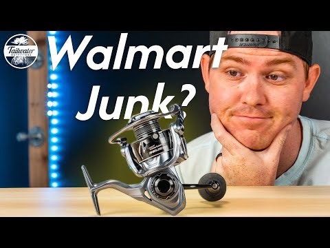 $160 Sleeper Inshore Reel? | Tsunami Shield II
