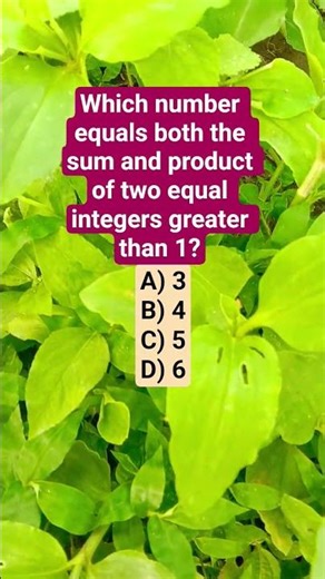 Which number equals both the sum and product of two equal integers greater than 1?