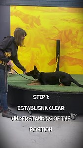 ESTABLISH POSITION Fade the Lure Follow this 3 step simple strategy. The key is to carefully fade the lure. Not too fast and not too slow. ‼️ Too fast and you won't yet have established behaviour. ‼️ Too slow and the dog becomes dependent on the lure. The time spent on the lure will vary depending on how complex the behaviour is. The strategy explained in the clip we use for sit/drop/stand. It may well vary pending the dog. #dogtraining #dogtrainer #puppytraining #puppydevelopment #rehomeddog #r