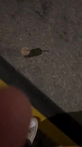 27K views · 736 reactions | I wasn’t invited… #party #pyro #neighbor #fireworks #loud #crazy #shh #entertainment #skit #salute Not real, purely for entertainment purp | Blue Sky | Facebook