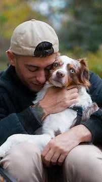 How Dog's Help Us Grieve 💙✨ (Heads up: This video may be difficult to watch)