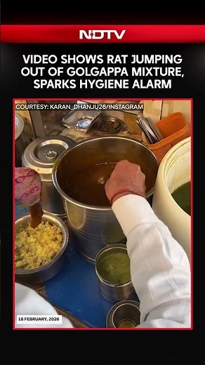 Viral Video Shows Rat Jumping Out Of Golgappa Mixture, Sparks Hygiene Alarm