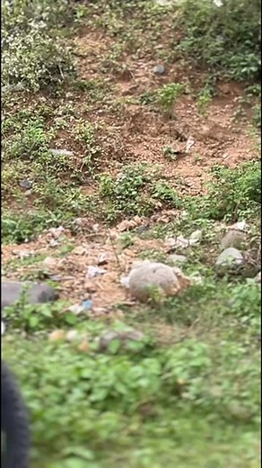 3.7K views · 85 reactions | Transition Bike Fullsuspension Mix Wheelset #fullsuspension #mtb #transitionpatrol | Savage MTB | Facebook