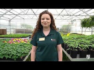 Take a Virtual Tour of ABAC