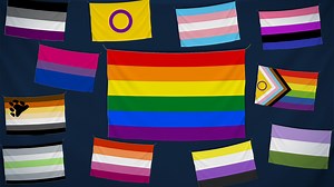 'Bear', 'Lipstick', 'Gender fluid' : connaissez-vous tous les drapeaux de la communauté LGBTQIA   et leurs significations ? - RTBF Actus