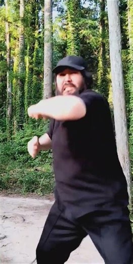 自由自然流拳法スーパーメガトン怒髪天弾丸パンチ‼️‼️