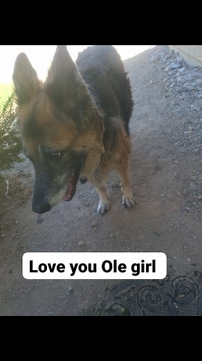 Baby | Charles Snyder