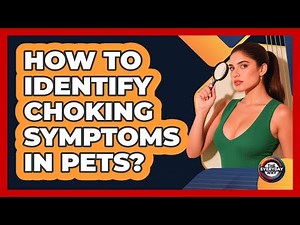 How To Identify Choking Symptoms In Pets?