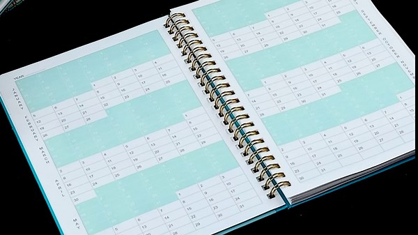 Appointment Book Undated Planner , Regolden-Book Daily Hourly Schedule Planner with 30-Minute Increments, Appointment Hardcover notebook with Weekly Templates, Hardcover, Spiral Binding Notebook for Man & Women, Pen Loop, Inner Pocket 53 Weeks (5.5x8.5”)