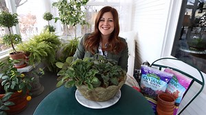 Fixing a Neglected Houseplant Arrangement & Rooting African Violets 🤦‍♀️😆🌿 | Garden Answer