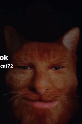 It's Okay — Cat montage with The Cat Returns scenes