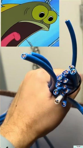 Cat6 Patch Panel with Cat6e Ethernet Cables