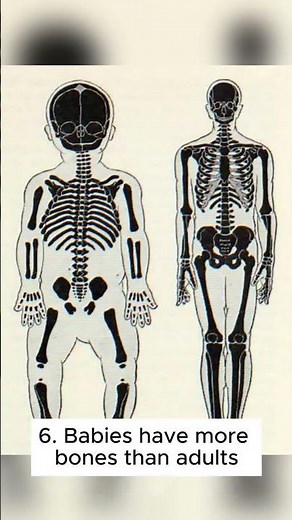 🧬 Top 10 Strange Facts About the Human Body #top10 #top