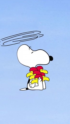 Snoopy airplane ✈️ #snazzysnoop #bestcouple #snoopyedit #peatnuts #snoopystore #fyp #woodstock #snoopy #