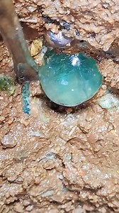 Agates, Crystals & Gold – Discover Earth’s Hidden Gems! #agate #crystal #gold #gems #diamonds #goldmines #emeralds #pearl #preciousstones #gemhunting | Gold Amazing